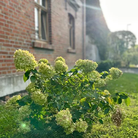 Eulenwohnung Gommern