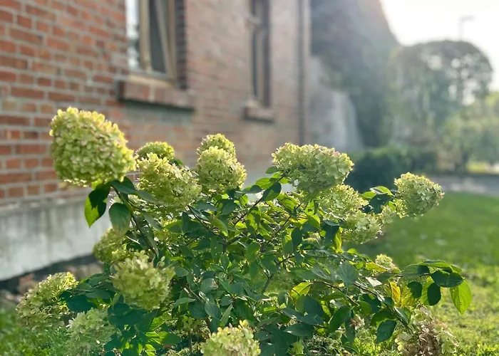 Eulenwohnung Gommern